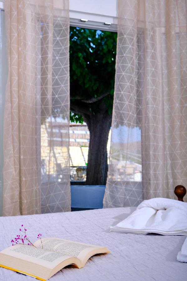 Faros Complex Apartmán